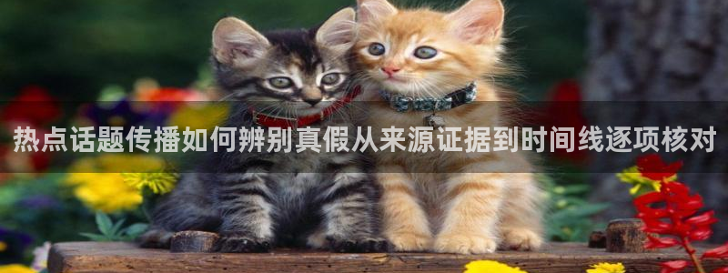 黑料每日热点:热点话题传播如何辨别真假从来源证据到时间线逐项核对