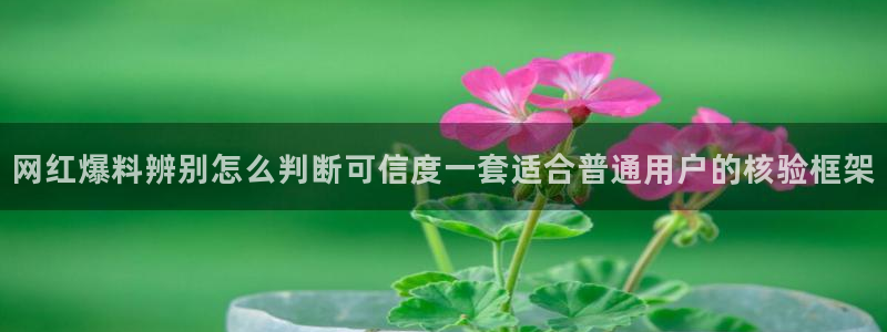 网络热点资讯:网红爆料辨别怎么判断可信度一套适合普通用户的核验框架