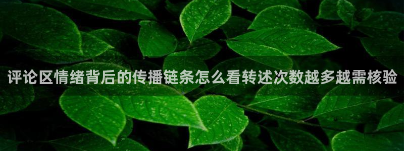 热点爆料：评论区情绪背后的传播链条怎么看转述次数越多越需核验