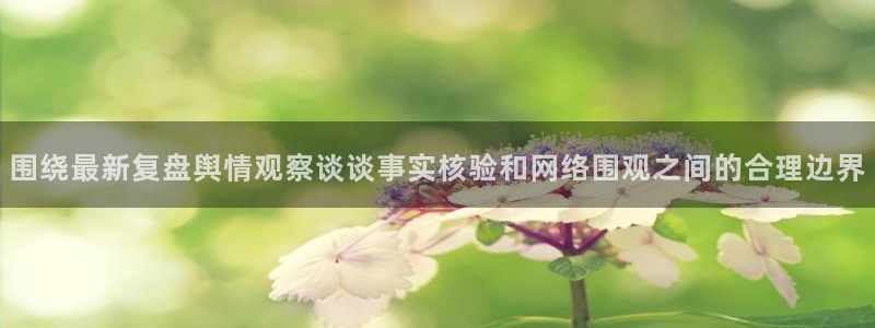 黑料热点事件:围绕最新复盘舆情观察谈谈事实核验和网络围观之间的合理边界