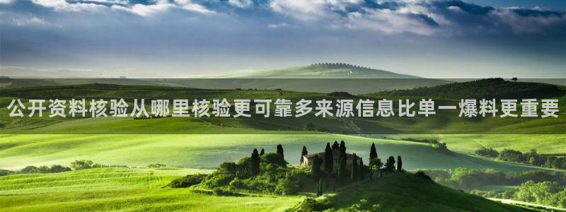 黑料每日热点：公开资料核验从哪里核验更可靠多来源信息比单一爆料更重要