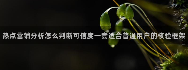 黑料爆料热点网站:热点营销分析怎么判断可信度一套适合普通用户的核验框架