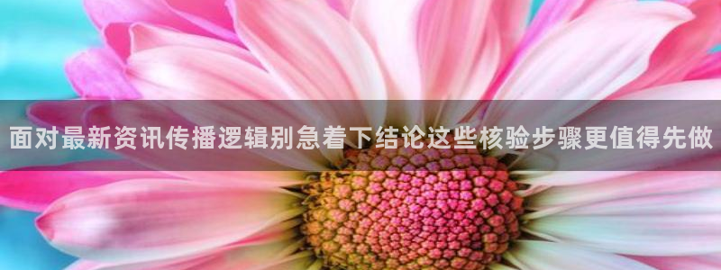 黑料爆料资讯网:面对最新资讯传播逻辑别急着下结论这些核验步骤更值得先做