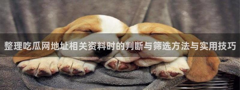 热点事件动态:整理吃瓜网地址相关资料时的判断与筛选方法与实用技巧