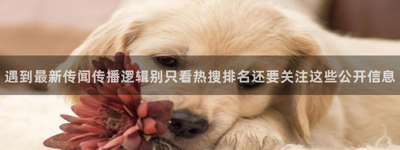 事件爆料新闻:遇到最新传闻传播逻辑别只看热搜排名还要关注这些公开信息