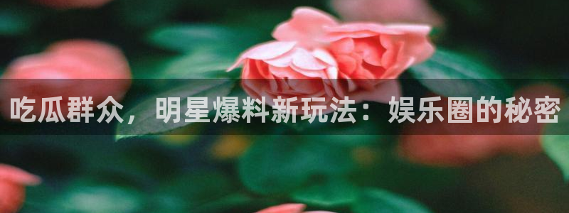 黑料爆料热点入口:吃瓜群众,明星爆料新玩法:娱乐圈的秘密
